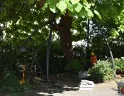Une structure métallique sous un arbre.