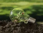 Une ampoule contenant des feuilles d'arbres. 
