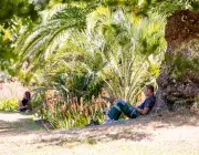 Un homme assis sous un arbre dans un parc