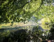 Alerte canicule : le Finistère redescend en vigilance jaune