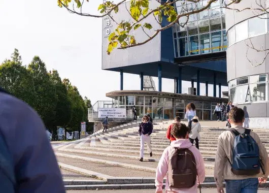 Des étudiants se rendent à l'université.