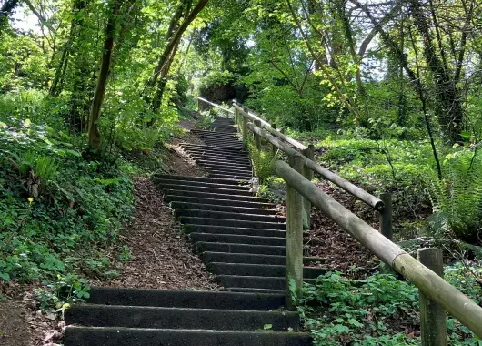 Des escaliers au cœur du parc de Kervallon
