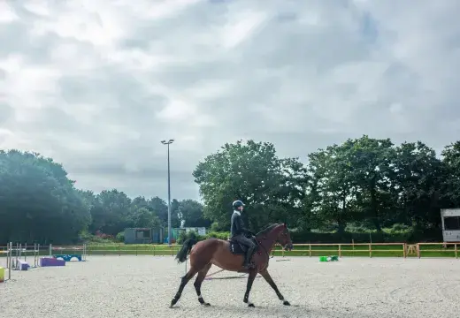 Un cavalier sur son cheval.
