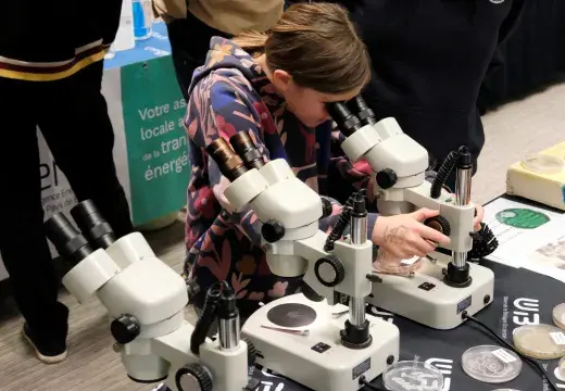 Une fillette regarde dans un microscope.
