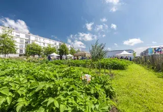 Un jardin sous le soleil.