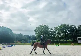 Un cavalier sur son cheval.