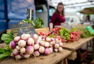 des navets et des radis sur un étal du marché