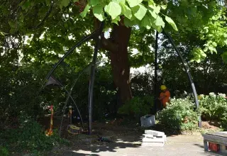 Une structure métallique sous un arbre.