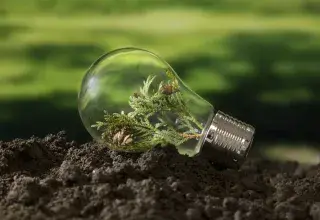 Une ampoule contenant des feuilles d'arbres. 