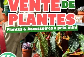 Grande vente de plantes aux Capucins