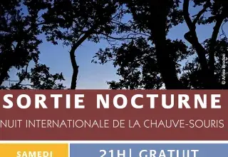 Sortie nocturne avec Bretagne vivante