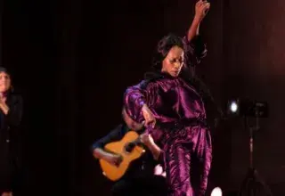 The Disappearing Act - Yinka Esi Graves