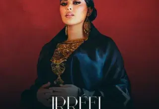 Concert de NEJ' : Irréel Tour