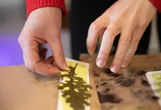 Atelier cyanotype