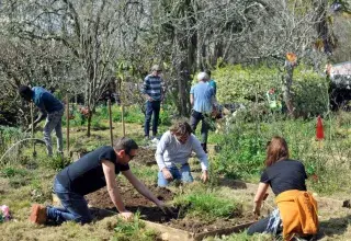 Visite guidée : Le chêne couché d'Armagnac