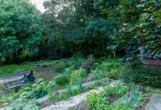 Visite guidée du jardin de Kerampéré