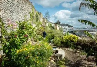 Visite guidée du jardin Extraordinaire de Brest