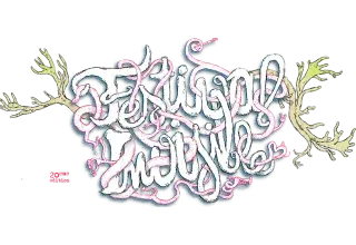 Festival Invisible