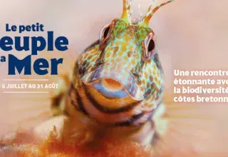Les animations estivales à Océanopolis