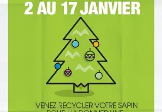 Opération Sapin malin