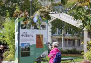 Visite guidée : Brest, ville d’arbres et d’histoires