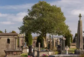 Visite guidée : Dans les allées du cimetière Saint-Martin