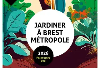 Les rendez-vous de la forêt des comestibles
