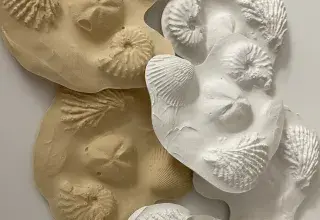 Visite guidée - A la découverte des minéraux et fossiles des collections de l'Université
