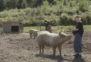 Autoportrait aux refuges d’animaux d’élevage - Patricia Allio