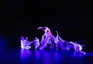 Scènes chorégraphiques classes à horaires aménagés