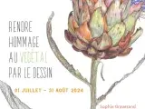 Exposition : Rendre hommage au végétal par le dessin