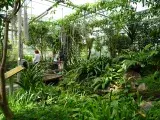 Ouverture des serres tropicales du Conservatoire botanique