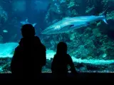 Océanopolis - Aquarium Brest