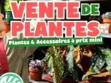 Grande vente de plantes aux Capucins