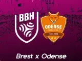 Handball Ligue des Champions : Brest BH - Odense
