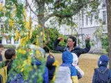 Visite guidée de l'exposition Brest, ville d’arbres et d’histoires