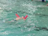 Stage de natation