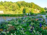 Jardin du Conservatoire botanique national de Brest