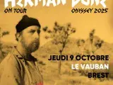 Concert d'Herman Dune