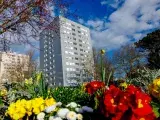 Visite guidée : Les toits des tours de Quéli