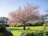 Rencontre : Y'a-t-il une sagesse des arbres ?
