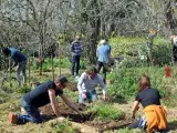 Visite guidée : Le chêne couché d'Armagnac