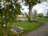 Visite guidée du jardin de l’hôpital Clermont-Tonnerre