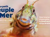 Les animations estivales à Océanopolis