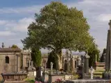 Visite guidée : Dans les allées du cimetière Saint-Martin