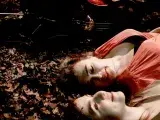 Nuées ardentes - Birds on a Wire
