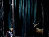 Le Bruit des Loups - Étienne Saglio (Jeune public)