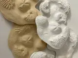 Visite guidée - A la découverte des minéraux et fossiles des collections de l'Université