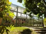Visite guidée - Le Jardin du Conservatoire
